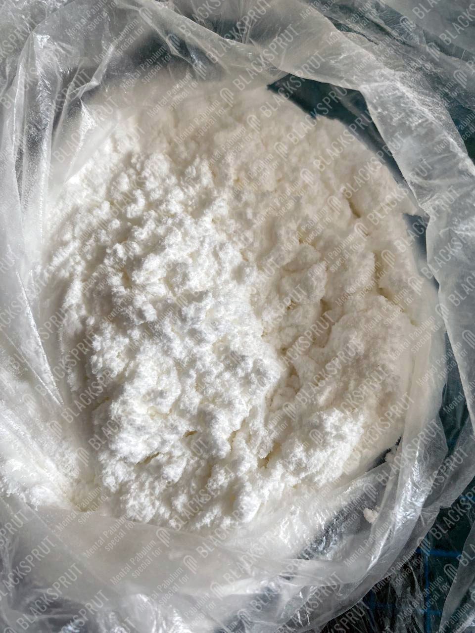 2024-10-24 16.13.11.jpg