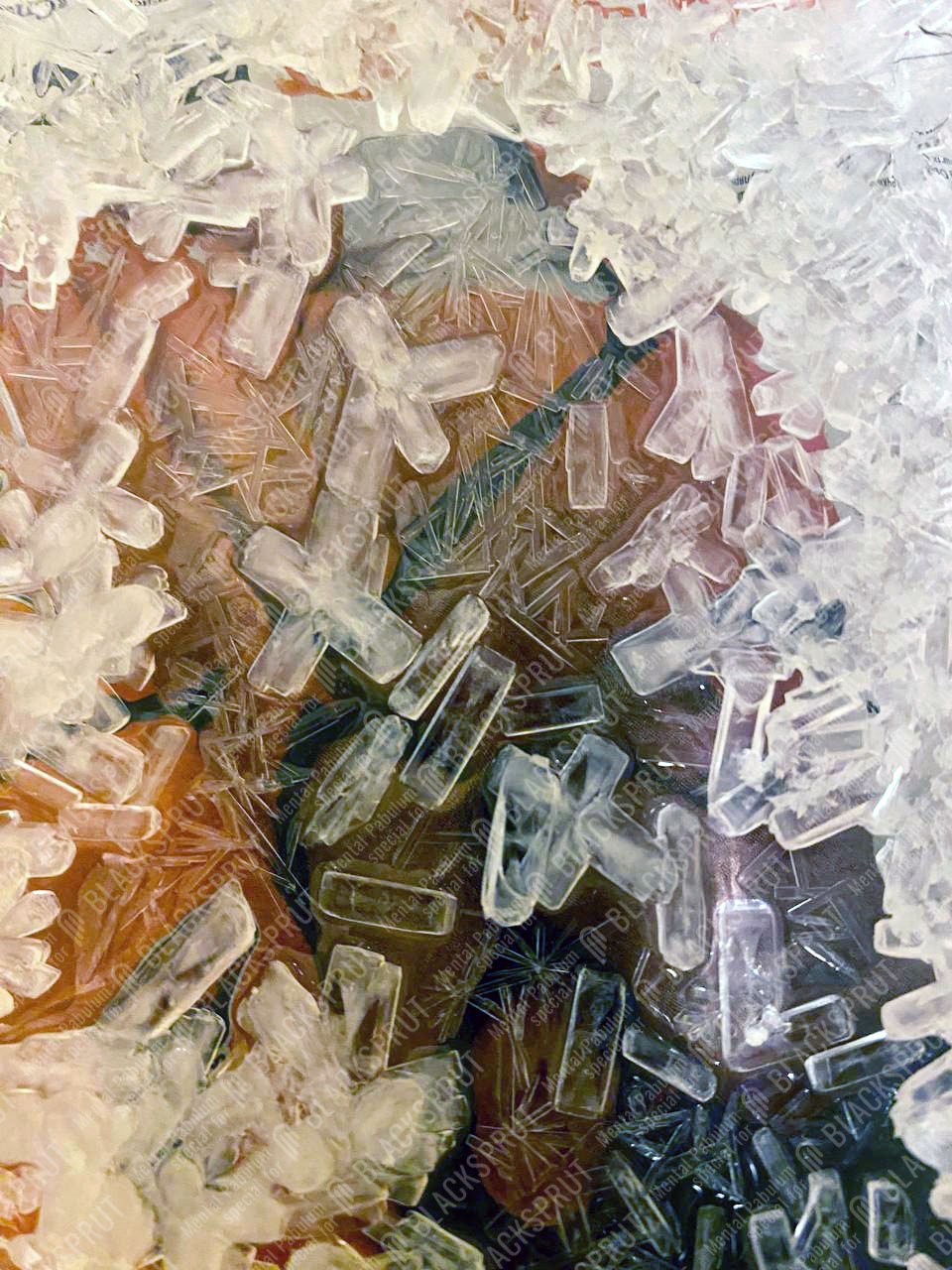 2024-10-24 16.15.24.jpg