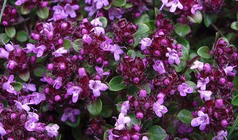 2025-05-29 13.35.05.jpg