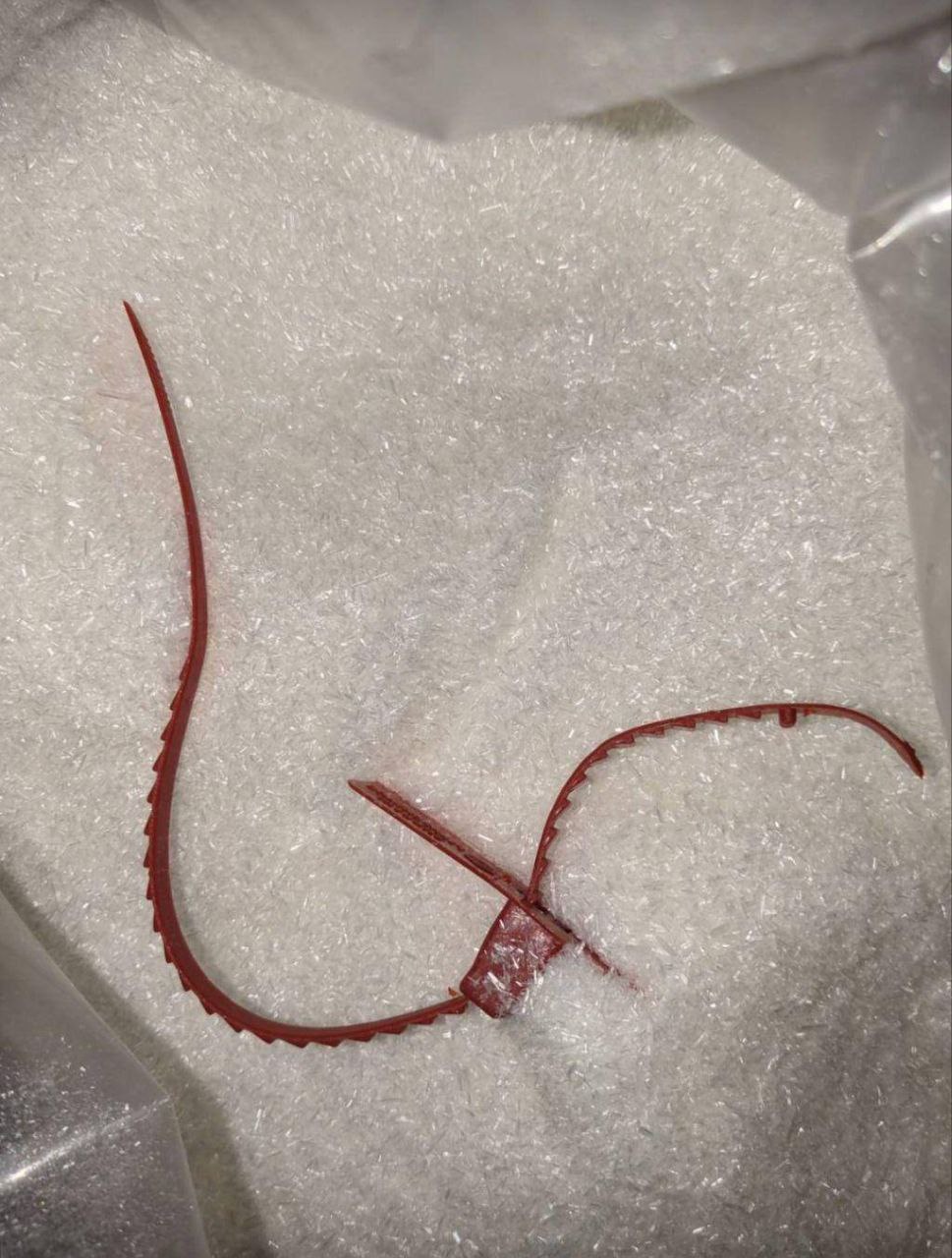 20260303_124708-jpg.2472892