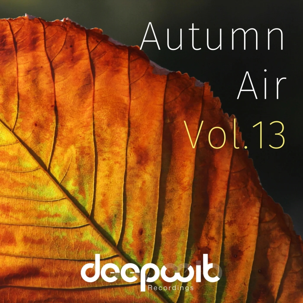 Autumn Air, Vol. 13 1000x1000.jpg