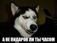 Без названия (15).jpeg