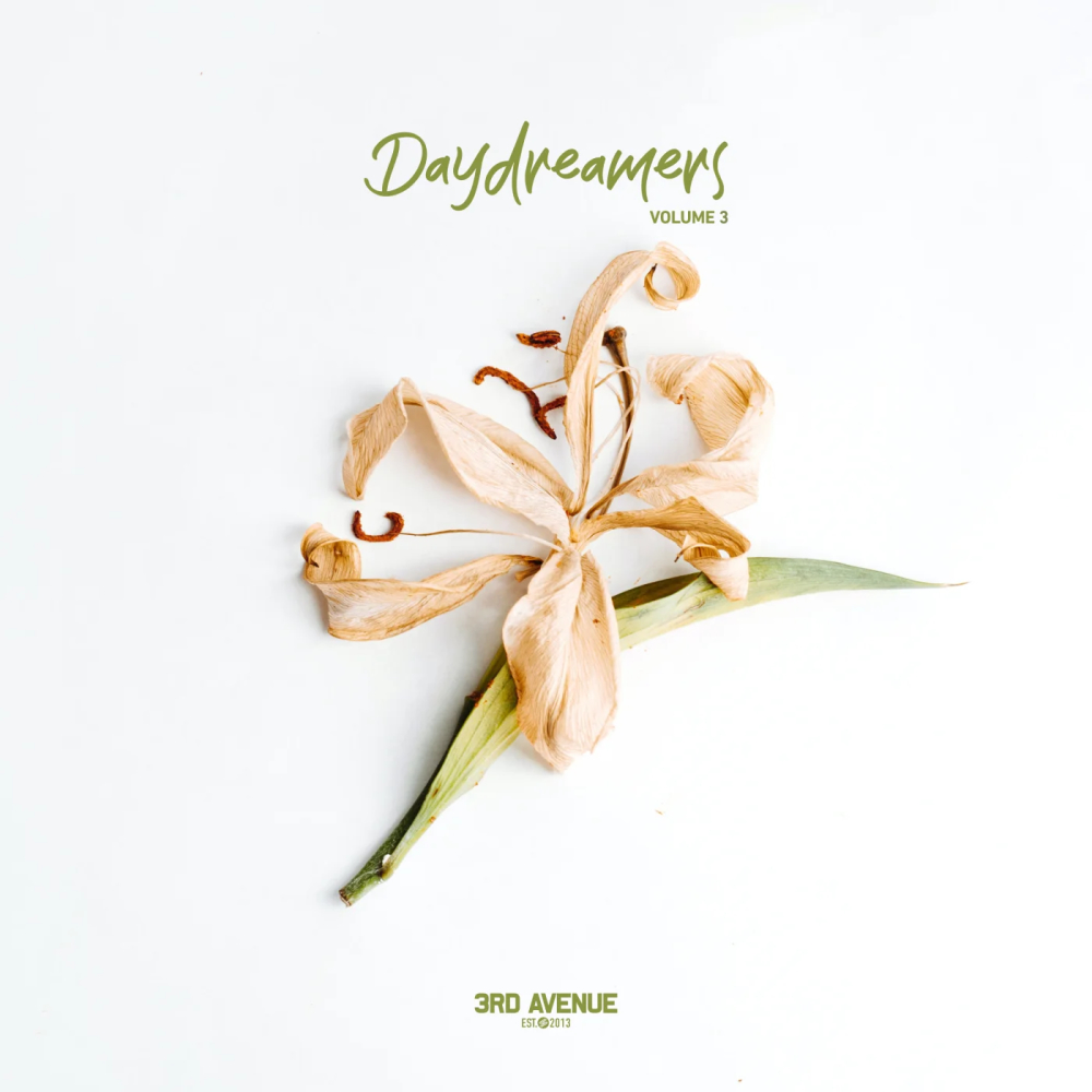 Daydreamers, Vol. 3 1000x1000.jpg