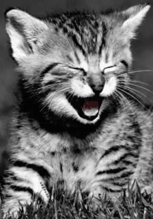 GIF_20240916_073704_808 (1).gif