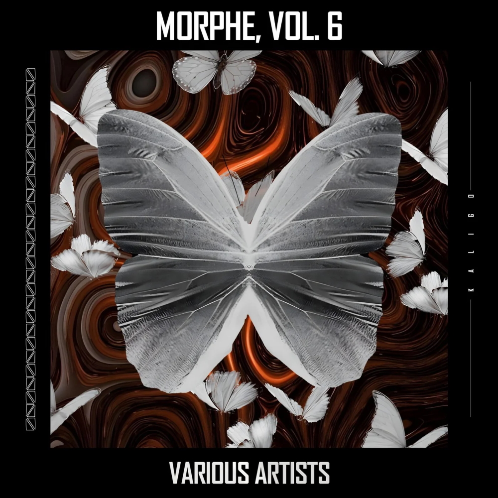 Morphe, Vol. 6 1000x1000.jpg