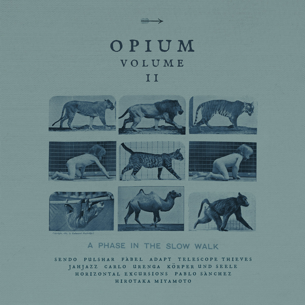 Opium Volume 2 1000x1000.jpg