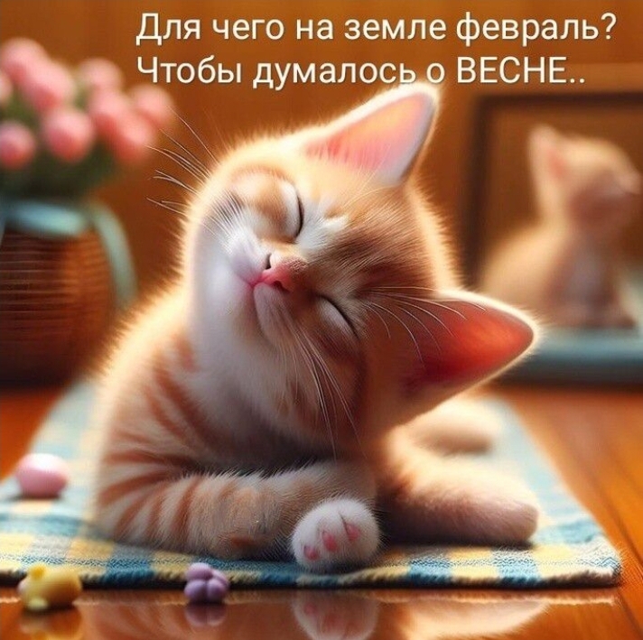 Screenshot_20260203_133635_ .jpg