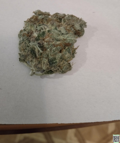 Снимок экрана_2026-03-04_21-13-19.png