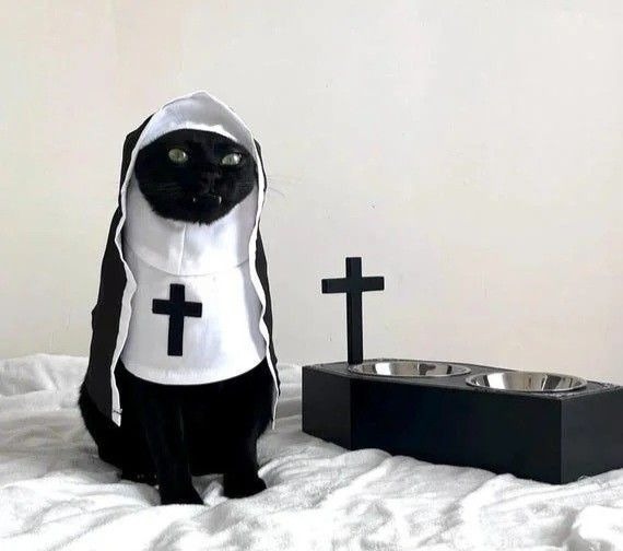 WhatsApp Image 2025-07-02 at 22.08.47.jpeg