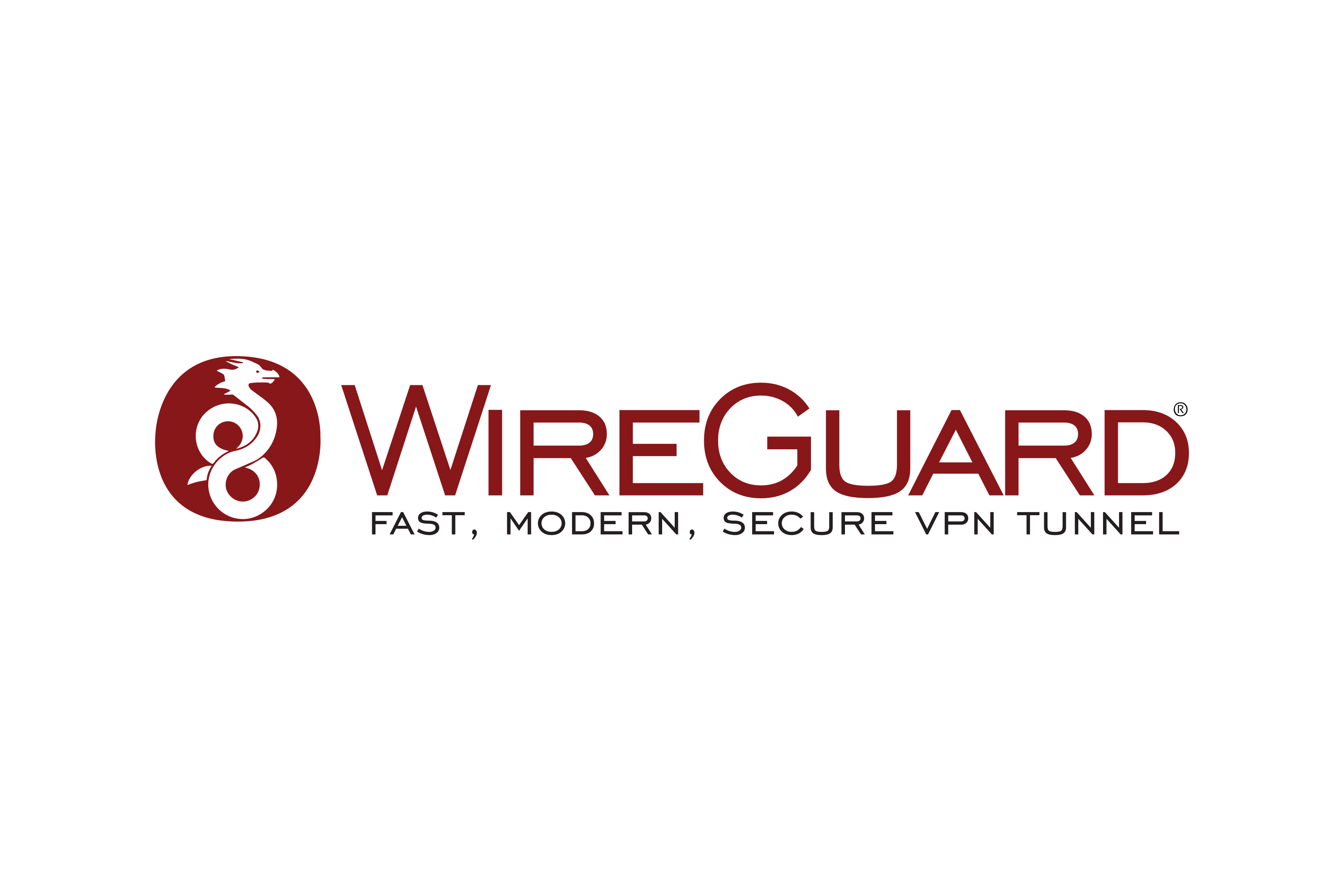 WireGuard-Logo.wine.png