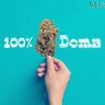 100%DOMA HYDRA