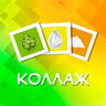 Коллаж