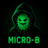Micro-B